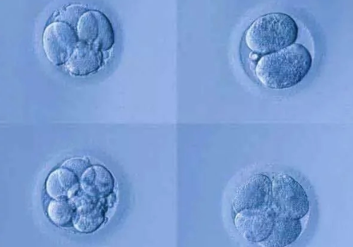 試管嬰兒費用是多少呢