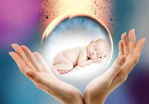 泰國做試管要多少錢呢