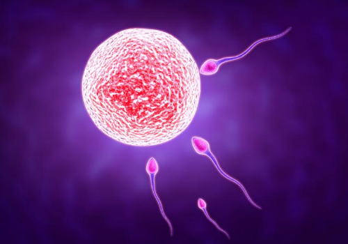 美國試管嬰兒的醫療費用包括什么