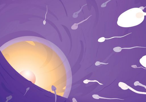 美國試管嬰兒的費用包含哪些內容