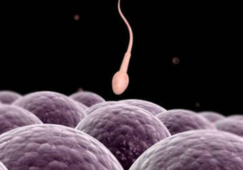 廣元市試管嬰兒醫院哪家最好呢