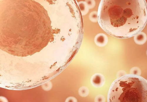 恩施試管嬰兒醫院排名哪些比較好