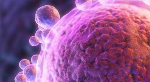 泰國三代試管嬰兒的具體費用是什么