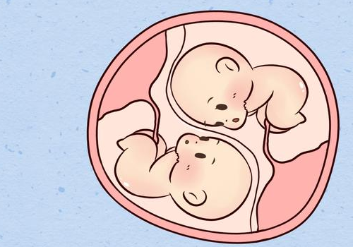 美國試管費用大概多少？?