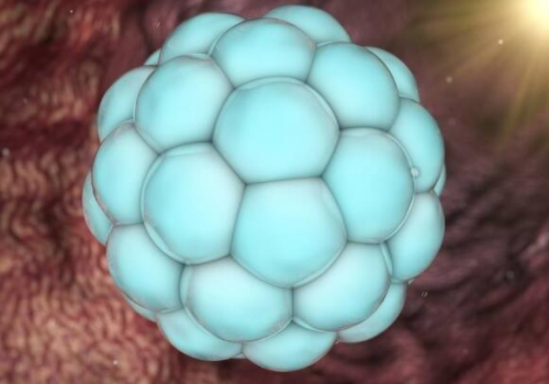 泰國做試管需要多少錢？