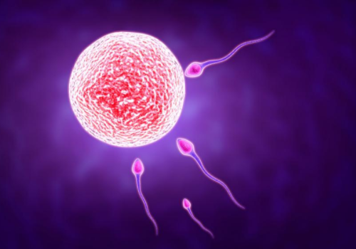 泰國試管嬰兒具體流程？?