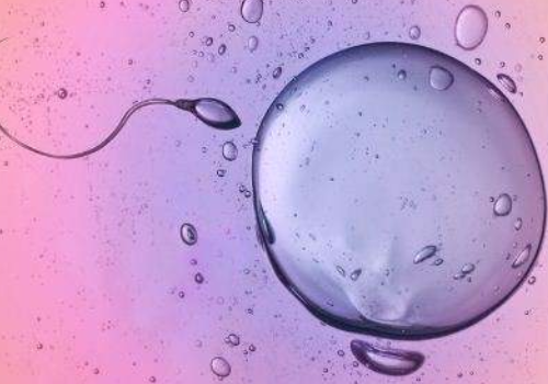 美國試管成功率？?