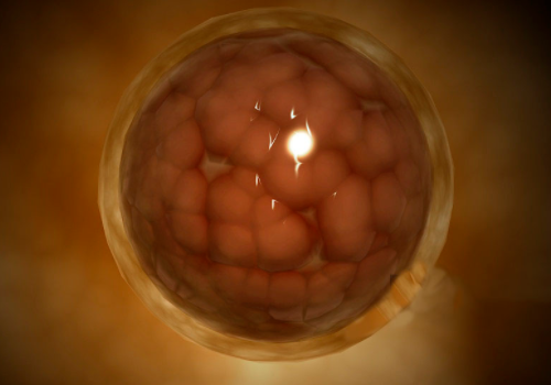 泰國試管嬰兒流程？