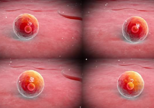 泰國試管嬰兒的價格是多少？