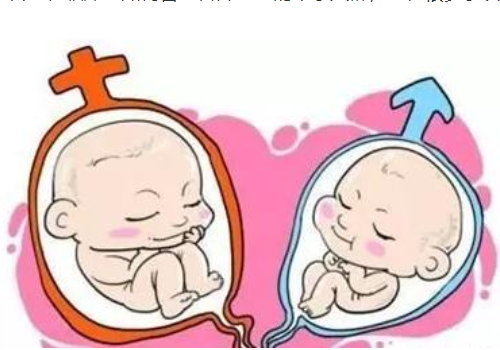 泰國二代試管嬰兒的費用？?