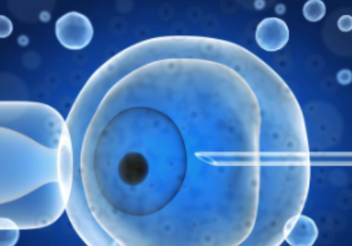 泰國試管生流程？