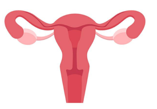 泰國試管嬰兒可以生嗎？?